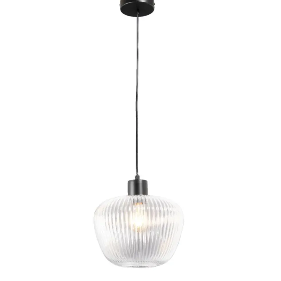 Leen Bakker Hanglamp Yosemite - helder/mat zwart - Ø25x120 cm