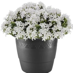 Bloempotten-Hega Hogar Bloempot - antraciet - kunststof - sierrand - 60 cm