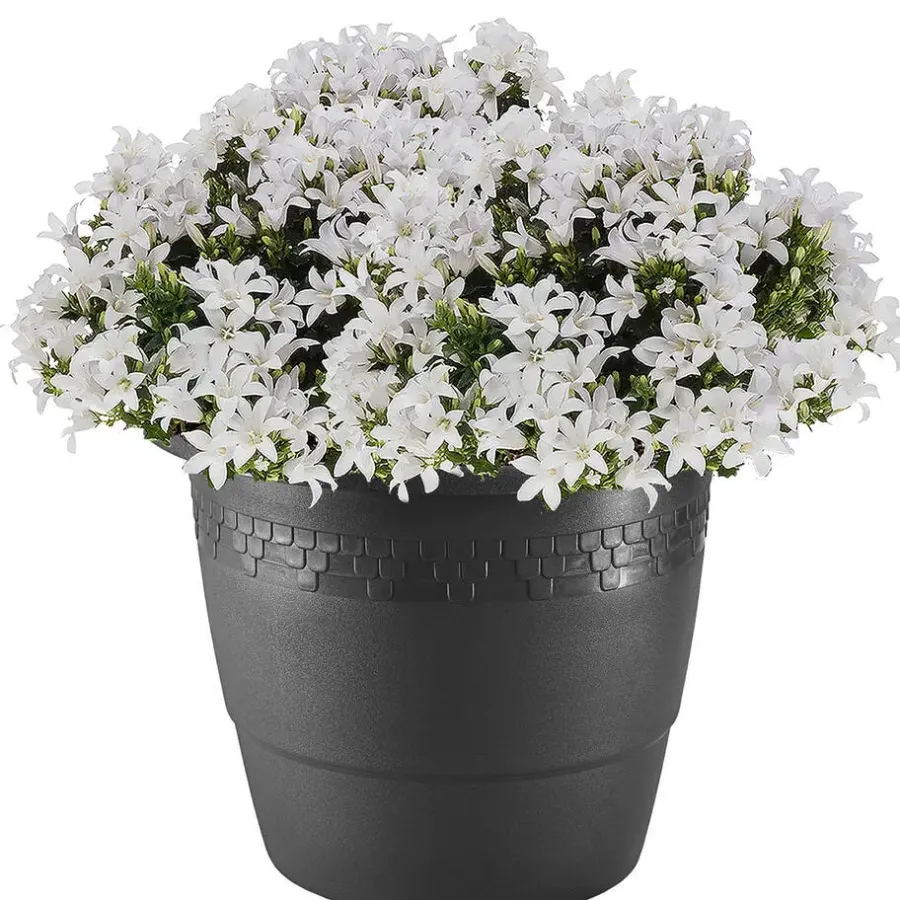 Bloempotten-Hega Hogar Bloempot - antraciet - kunststof - sierrand - 60 cm