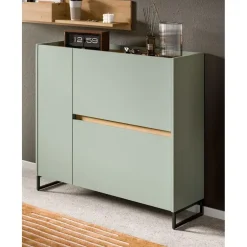 Merkloos Hioshop Drive schoenenkast 1 deur- 2 vouwdeuren salvie decor