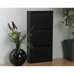 Hioshop Pisa schoenenkast zwart metaal met 3 vakken