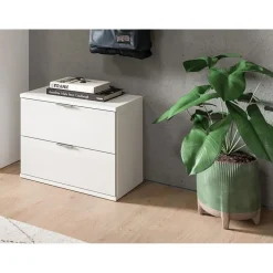 Hioshop ProjektX schoenenkast 2 laden wit hoogglans