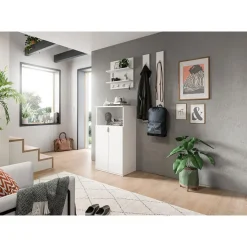 Schoenenkasten-Hioshop ProjektX schoenenkast 2 deuren 1 vak wit hoogglans