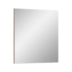 Hioshop Scout spiegel 90x87cm