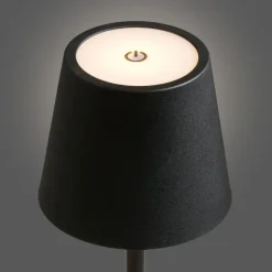 Merkloos Hioshop Senta bureaulamp oplaadbaar zwart