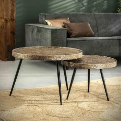 Hoyz Collection Hoyz - Salontafel Rond Metallic - Goudkleurig - Set van 2