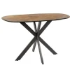 Bartafels-Hoyz Collection - Bartafel 140 Organisch - Gerecycled Teakhout Fineer