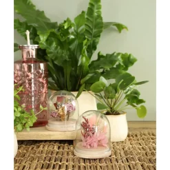 Vazen-Ideas 4 Seasons Ideas4seasons Flesvaas Berlin - glas - lichtroze - D9 x H21 cm