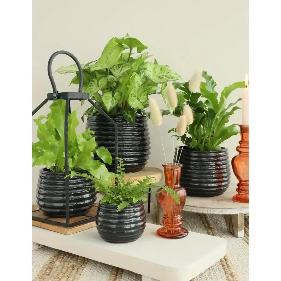 Bloempotten Voor Binnen-Ideas 4 Seasons Ideas4seasons Plantenpot ribbel - zwart - D14 x H10 cm