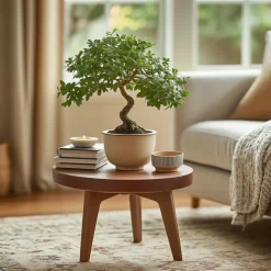 Kamerplanten-Plant in a Box Japanse lep - Zelkova serrata - Hoogte 20-25cm - ⌀15cm