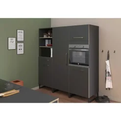 Buffetkasten-Parisot Kolomkast Wade met ruimte voor oven - antraciet