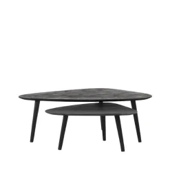 LABEL51 Salontafel Rock 110x64x39 cm - Zwart - Mangohout - Set van 2