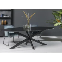 Houten Eettafels|Ovale Eettafels-Livingfurn - Eetkamertafel Oslo Oval Black 160 cm - Mangohout