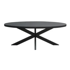 Livingfurn - Eetkamertafel Kala Oval Spider 160cm - Mangohout / Gecoat Staal