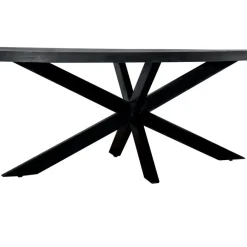 Livingfurn - Eetkamertafel Kala Oval Spider 160cm - Mangohout / Gecoat Staal