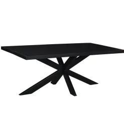 Rechthoekige Eettafels|Industriële Eettafels-Livingfurn - Moderne Zwarte Eetkamertafel - Spider - Mangohout - 180 cm