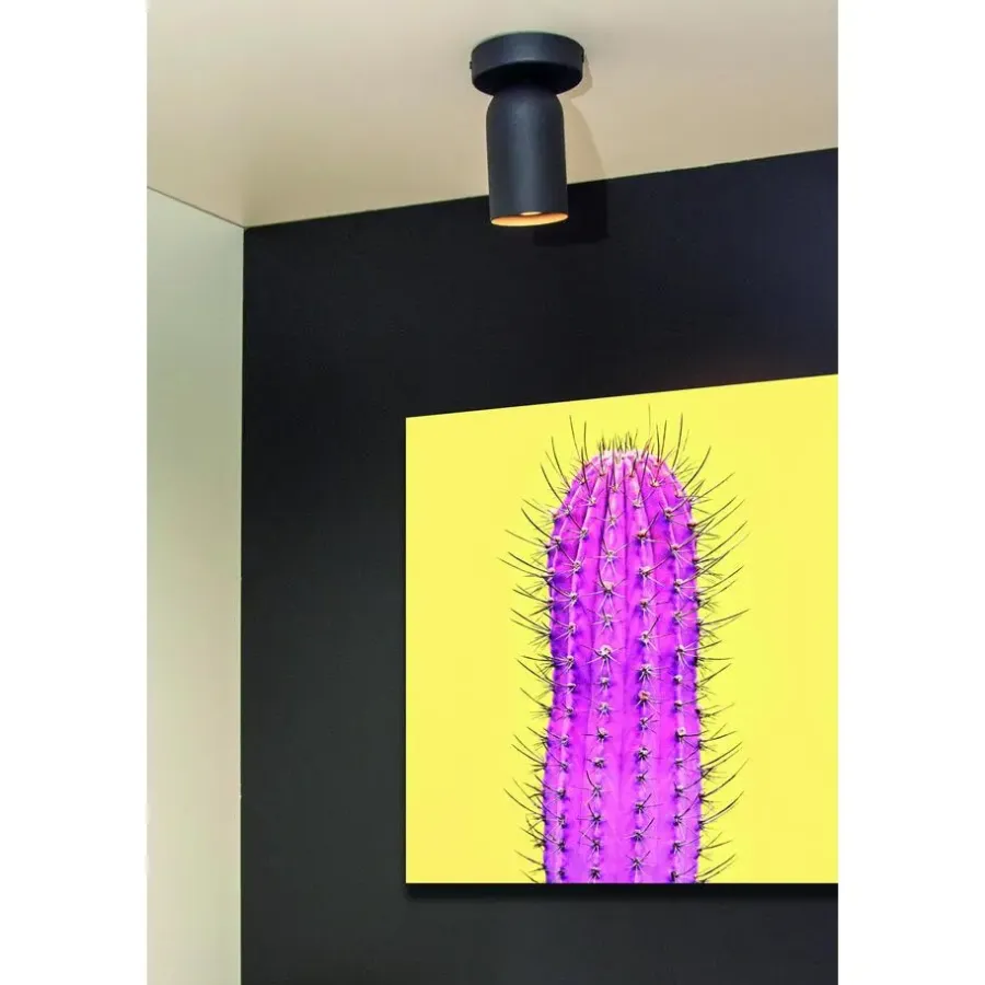 Wandlampen-Lucide PUNCH Plafondspot - Zwart