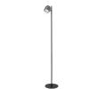 Lucide SKANSKA RECH Vloerlamp - Grijs ijzer