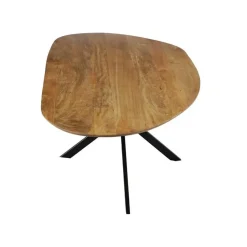 Mangohoutonline - Eettafel Organisch Alessia 240x110cm - Bruin - Mahom