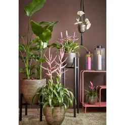Kandelaars En Windlichten-Mica Decorations Arzilla Lantaarn - L13,5 x B13 x H34,5 cm - Zwart