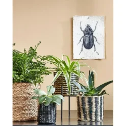 Bloempotten|Bloempotten Voor Binnen-Mica Decorations Atlantic Mand voor Planten Set van 3