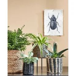 Bloempotten|Bloempotten Voor Binnen-Mica Decorations Atlantic Mand voor Planten Set van 3