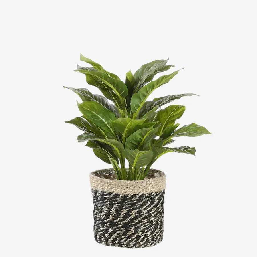 Mica Decorations Bonaparte Mand voor Planten Ø20 cm
