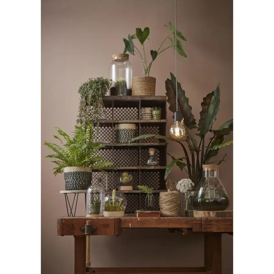 Mica Decorations Bonaparte Mand voor Planten Ø20 cm