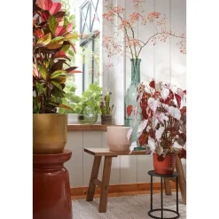 Mica Decorations Jay Vaas - L18,5 x B10,5 x H25 cm - Glas - Lichtgroen