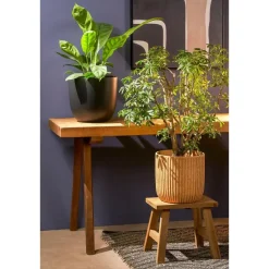 Bloempotten|Bloempotten Voor Binnen-Mica Decorations Planten/bloempot Tusca - Zwart - D31/H28 cm