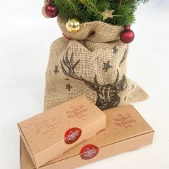 Kerstbomen-Plant in a Box Mini-kerstboom met juten zak - Picea glauca ‘Conica’ - Hoogte 55-65cm - ⌀15cm