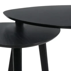 HIXA MISOU Salontafel Set van 2 Bijzettafel Diehoekig Zwart Bijzettafeltje