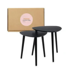 HIXA MISOU Salontafel Set van 2 Bijzettafel Diehoekig Zwart Bijzettafeltje
