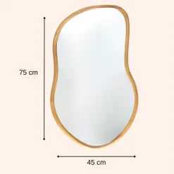 Spiegels-MISOU Wandspiegel Spiegel Organische Vorm 75x45cm Hout
