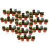 Plant in a Box Mix cactus - Set van 60 - Cactus - Hoogte 5-10cm - ⌀5,5cm