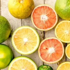 Planten|Tuinplanten-Plant in a Box Mix fruitbomen - Set van 3 - Citrus limon - Hoogte 25-40cm - ⌀9cm