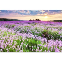 Tuindecoratie-MuchoWow Tuinposter 120x80cm Bloemen Lavendel Paars Lucht