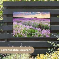 Tuindecoratie-MuchoWow Tuinposter 120x80cm Bloemen Lavendel Paars Lucht