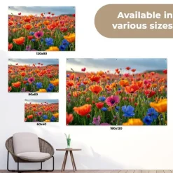 Tuindecoratie-MuchoWow Tuinposter 180x120cm Bloemen Klaprozen Kleurrijk