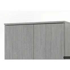 Wandkasten-Rousseau Opbergkast Ray 60cm met 2 deuren en 4 legplanken - grijze eik