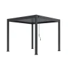 Orion Deluxe terrasoverkapping 300 x 300 cm antraciet