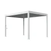 Orion Deluxe terrasoverkapping 300 x 400 cm wit