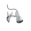 Tafellampen|Bureaulampen-Paulmann Klemspot Gryps - 40W - E14 - Dimbaar - Geborsteld staal