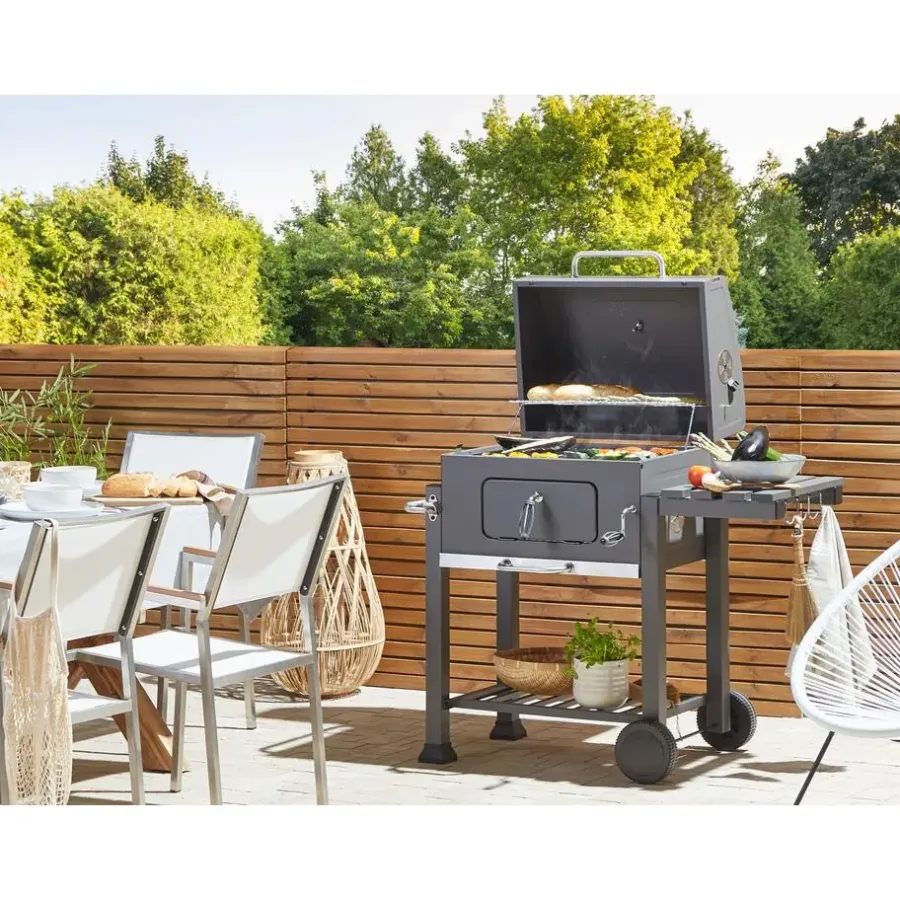 Beliani PAVLOF - Houtskoolgrill - Grijs - Staal