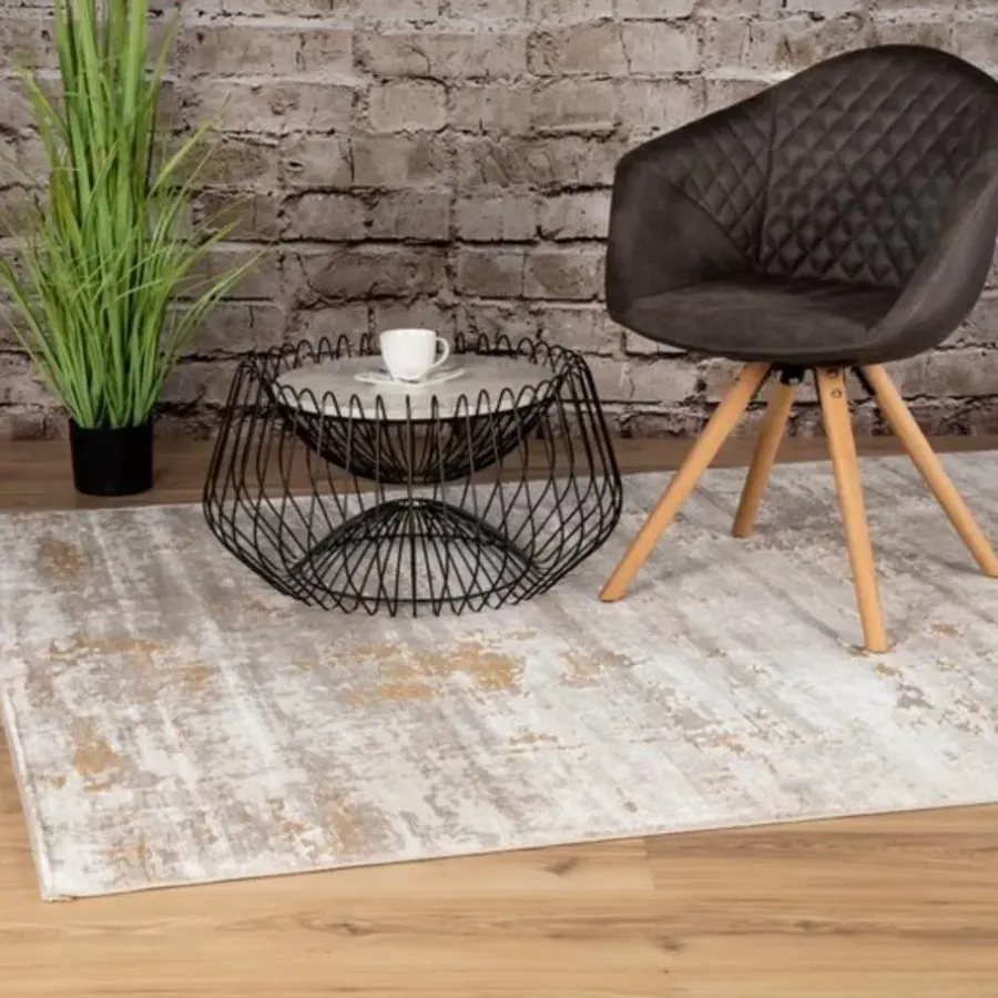 Merkloos Pierre Cardin Vloerkleed Vintage - Super zacht 160x230 cm
