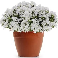 Bloempotten-PlasticForte Plantenpot - terracotta bruin - 40x33 cm - kunststof