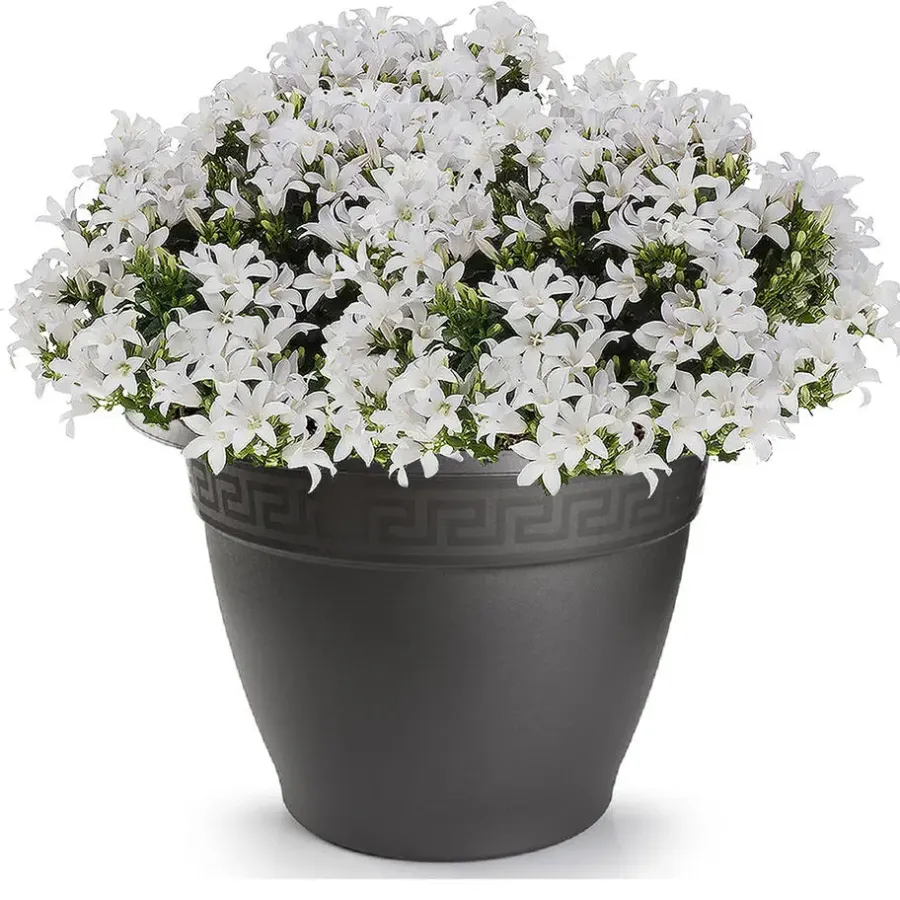 PlasticForte Plantenpot - antraciet - kunststof - rond - D43,5 cm