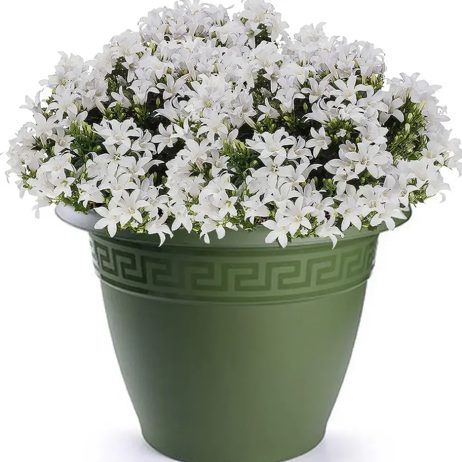 Bloempotten-PlasticForte Plantenpot - donkergroen - 50x40 cm - kunststof