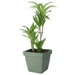 Bloempotten-Pro Garden Plantenpot - groen - D39 x H35 cm - kunststof