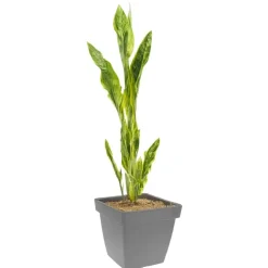 Bloempotten-Pro Garden Plantenpot - grijs - D39 x H35 cm - kunststof